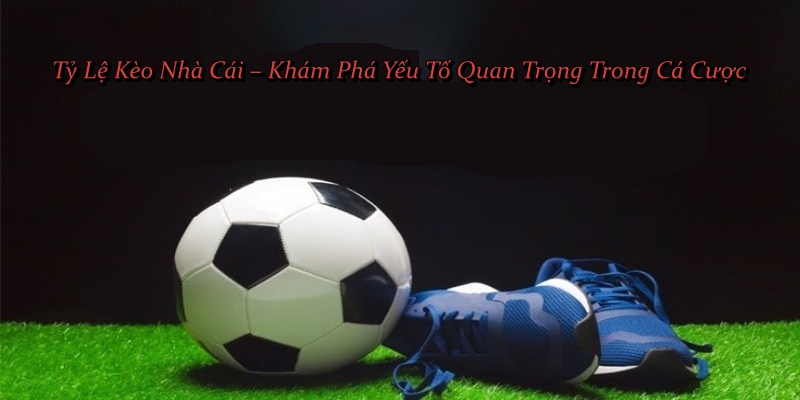 Tỷ Lệ Kèo Nhà Cái – Khám Phá Yếu Tố Quan Trọng Trong Cá Cược